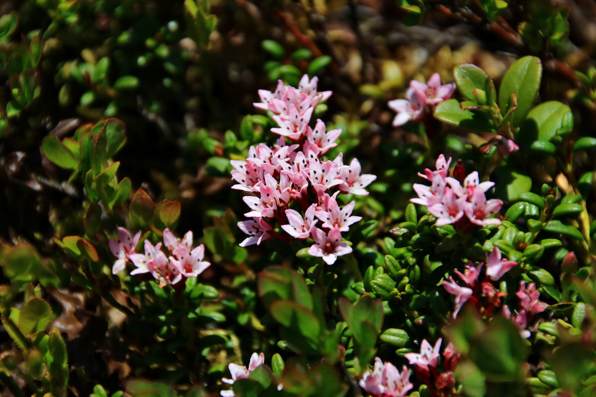 2015_06_12_002184p_Bildgr��e �ndern