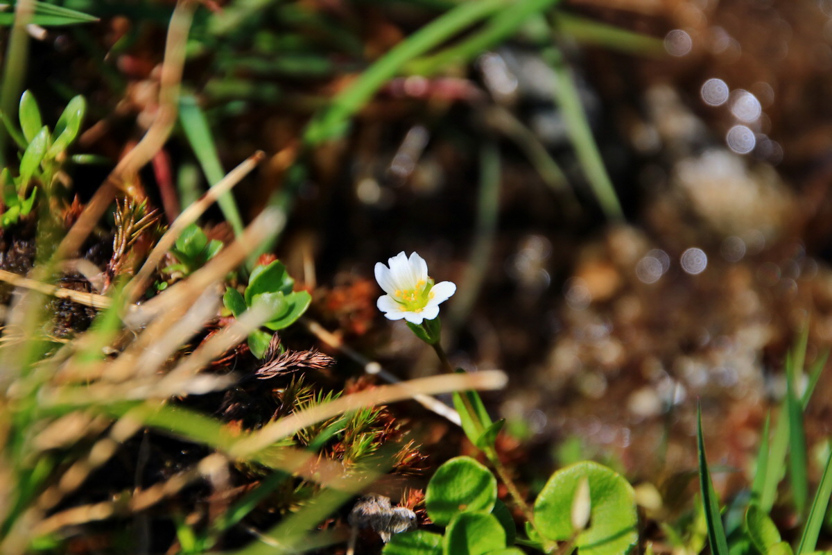 2015_06_12_002191p_Bildgr��e �ndern