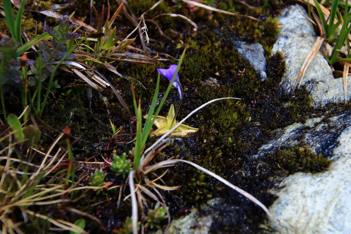 2015_06_12_002195p_Bildgr��e �ndern