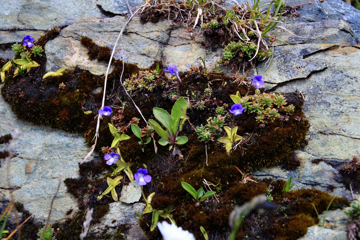 2015_06_12_002198p_Bildgr��e �ndern