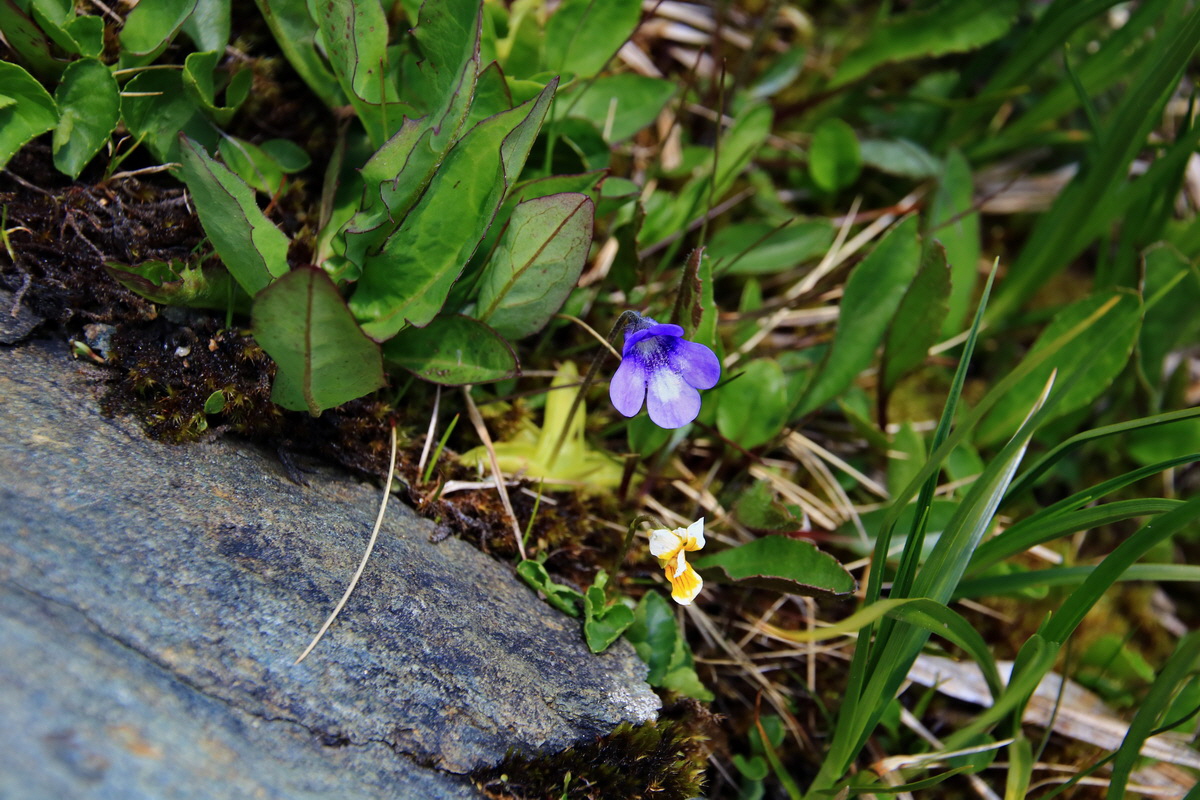 2015_06_12_002202p_Bildgr��e �ndern