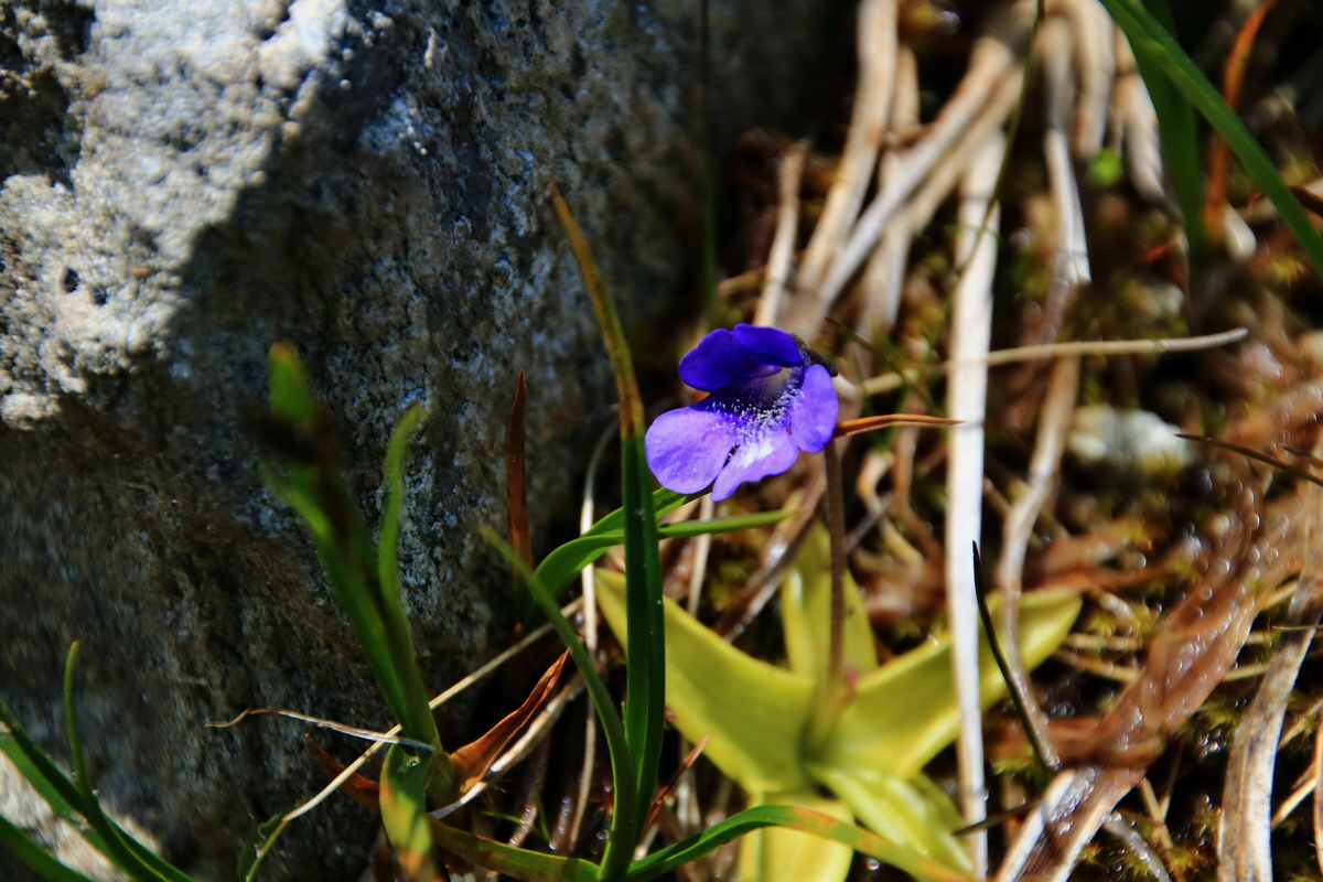 2015_06_12_002205p_Bildgr��e �ndern