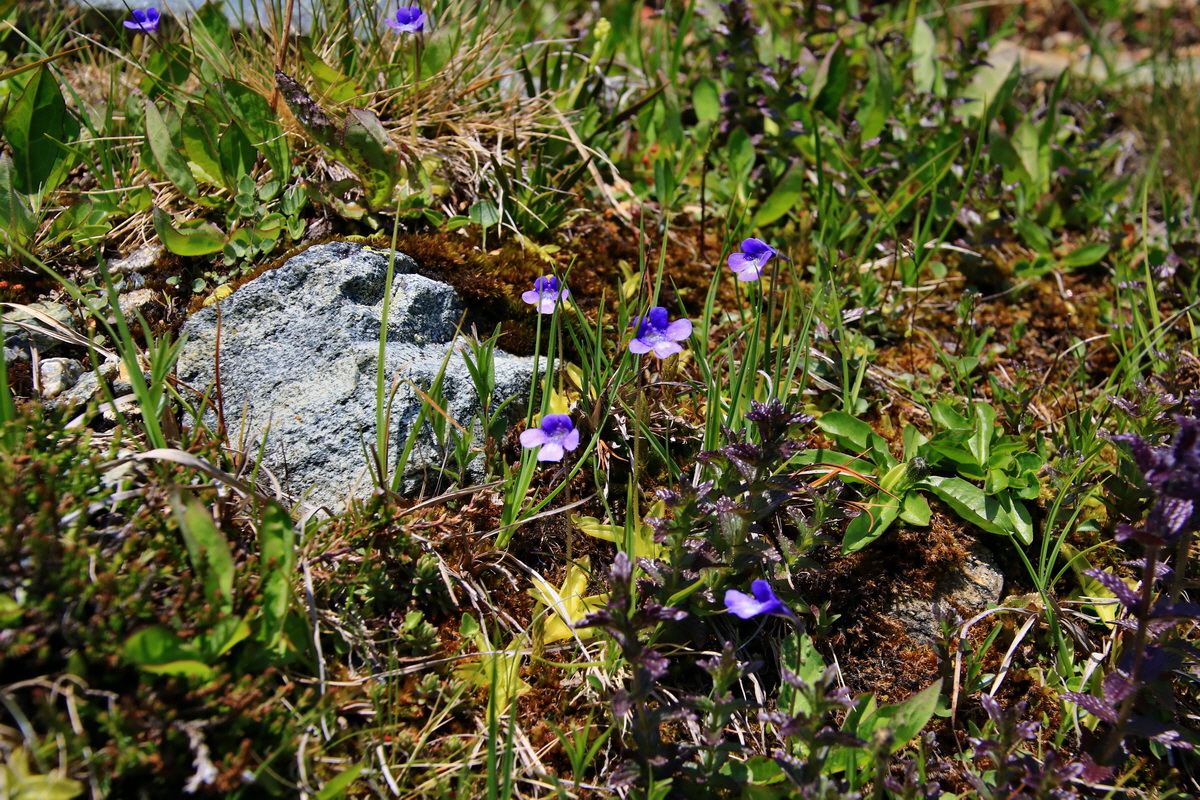 2015_06_12_002217p_Bildgr��e �ndern