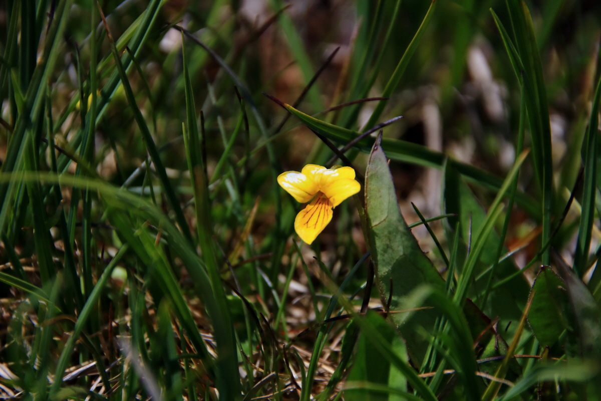 2015_06_12_002222p_Bildgr��e �ndern