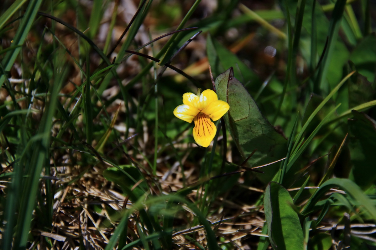 2015_06_12_002225p_Bildgr��e �ndern