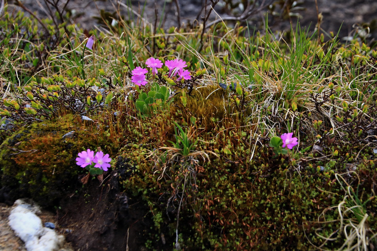 2015_06_12_002343p_Bildgr��e �ndern