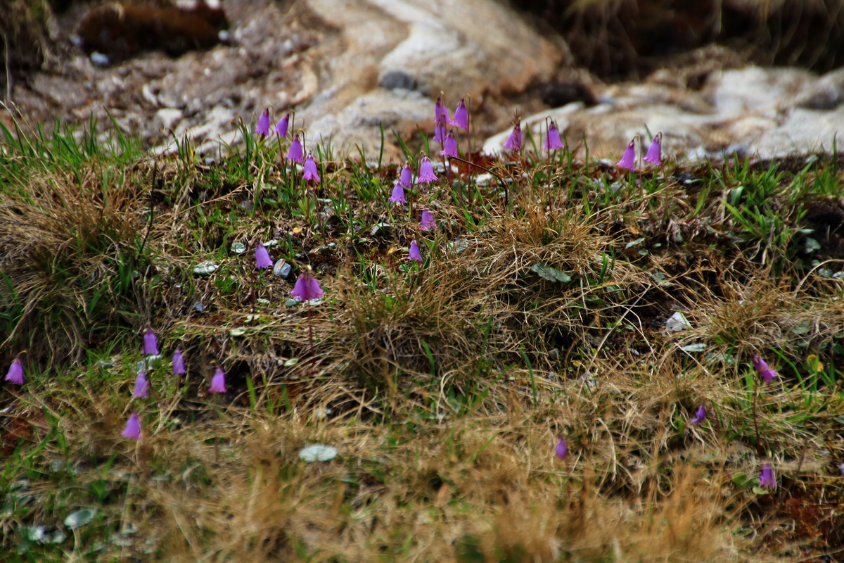 2015_06_12_002348p_Bildgr��e �ndern