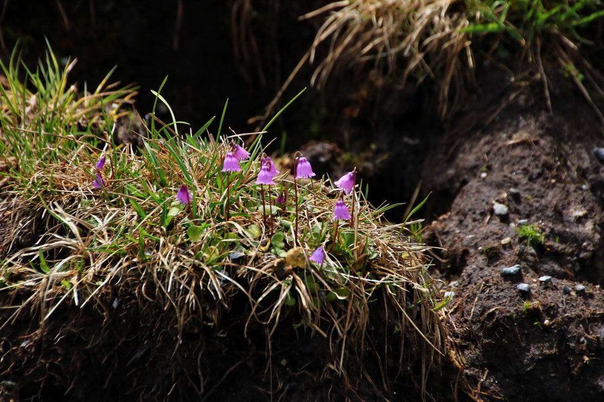 2015_06_12_002356p_Bildgr��e �ndern