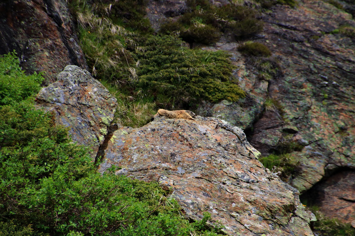 2015_06_12_002357p_Bildgr��e �ndern