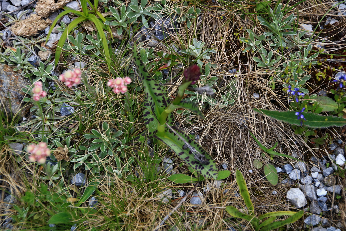 2015_06_12_002372p_Bildgr��e �ndern