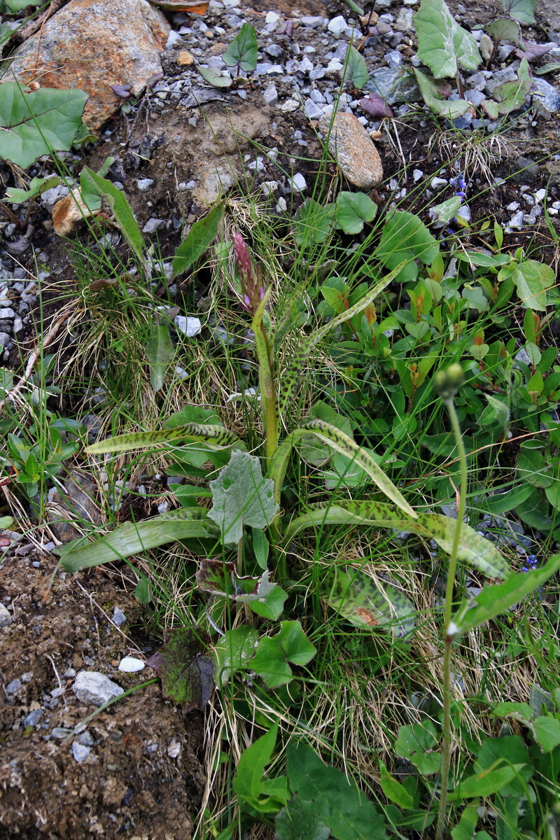 2015_06_12_002374p_Bildgr��e �ndern