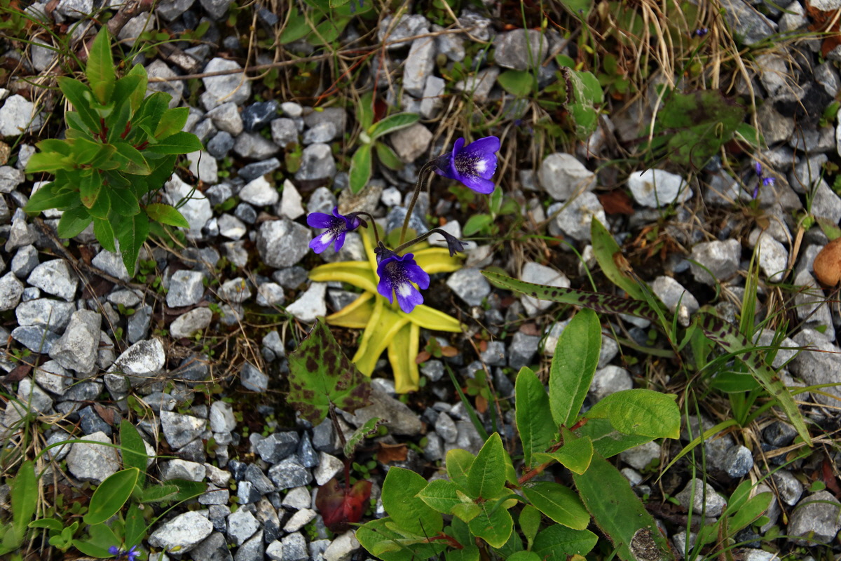 2015_06_12_002377p_Bildgr��e �ndern