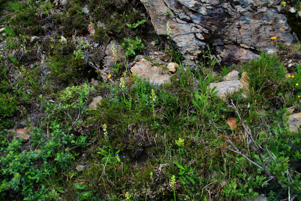 2015_06_12_002386p_Bildgr��e �ndern