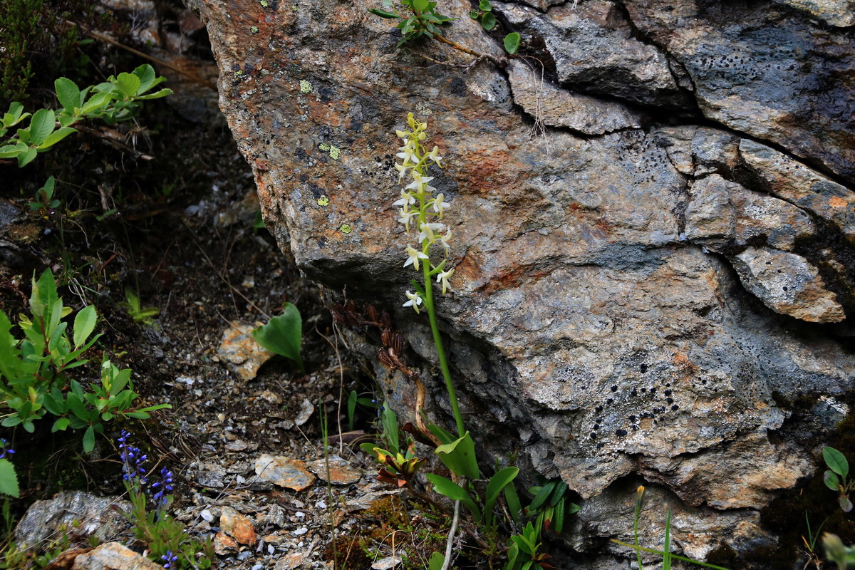 2015_06_12_002388p_Bildgr��e �ndern