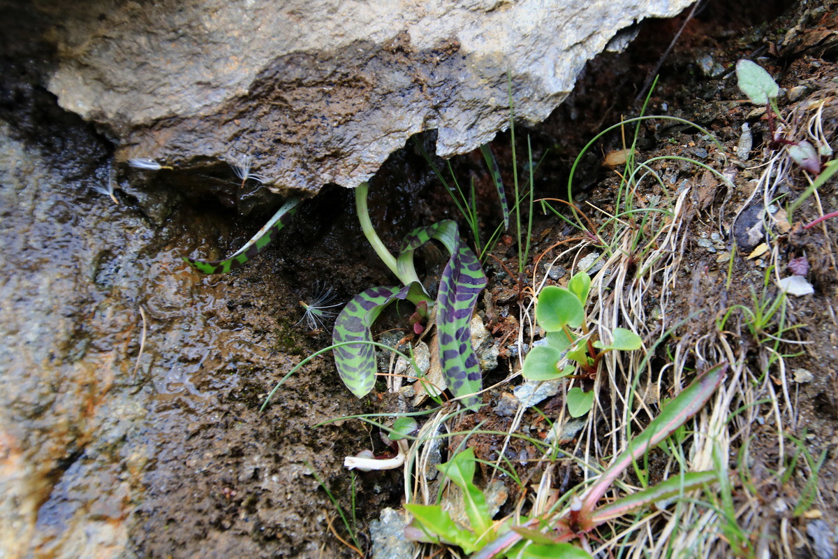 2015_06_12_002399p_Bildgr��e �ndern