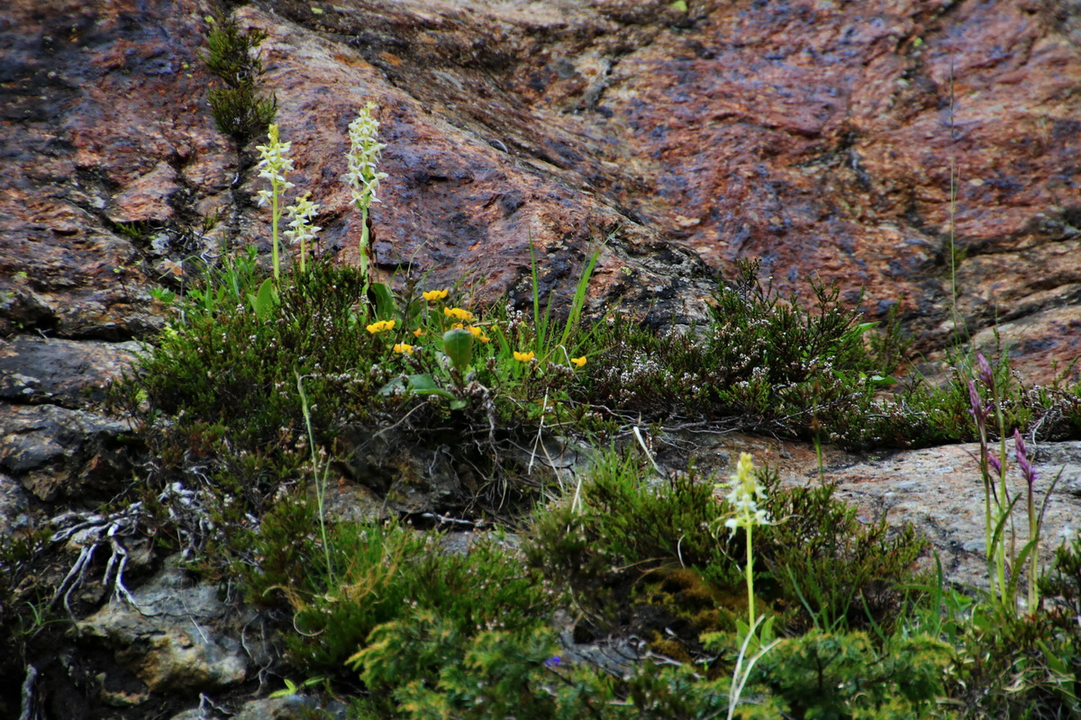 2015_06_12_002410p_Bildgr��e �ndern