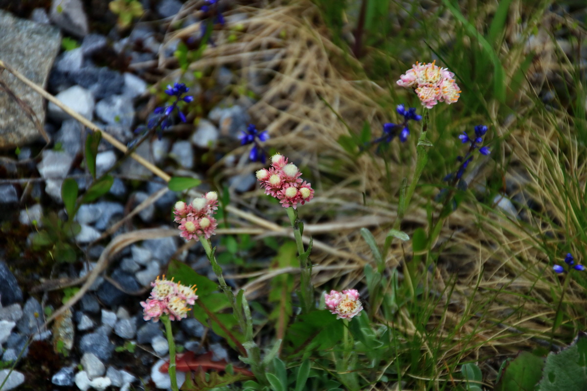 2015_06_12_002415p_Bildgr��e �ndern