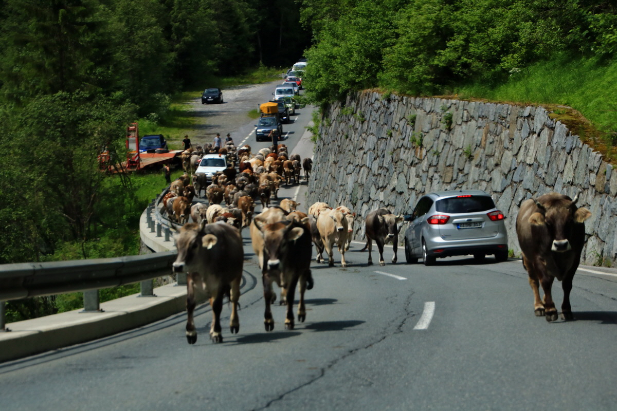 2015_06_12_002444p_Bildgr��e �ndern