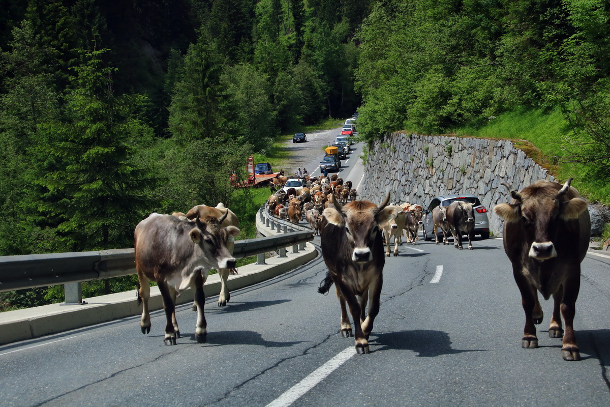 2015_06_12_002451p_Bildgr��e �ndern