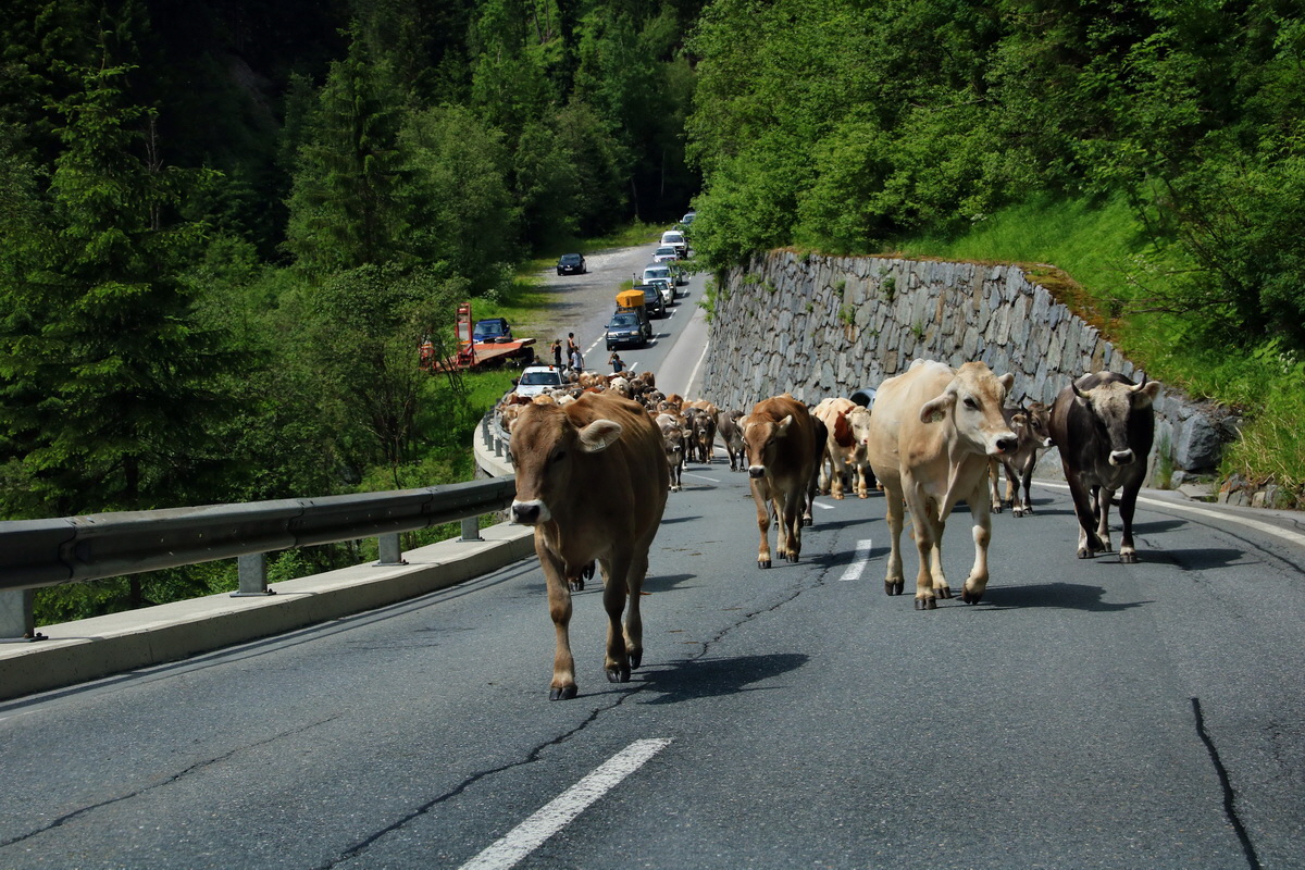 2015_06_12_002469p_Bildgr��e �ndern