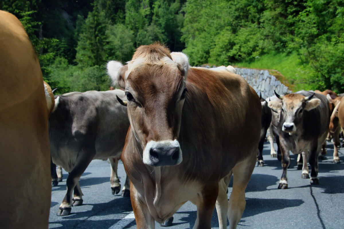 2015_06_12_002524p_Bildgr��e �ndern