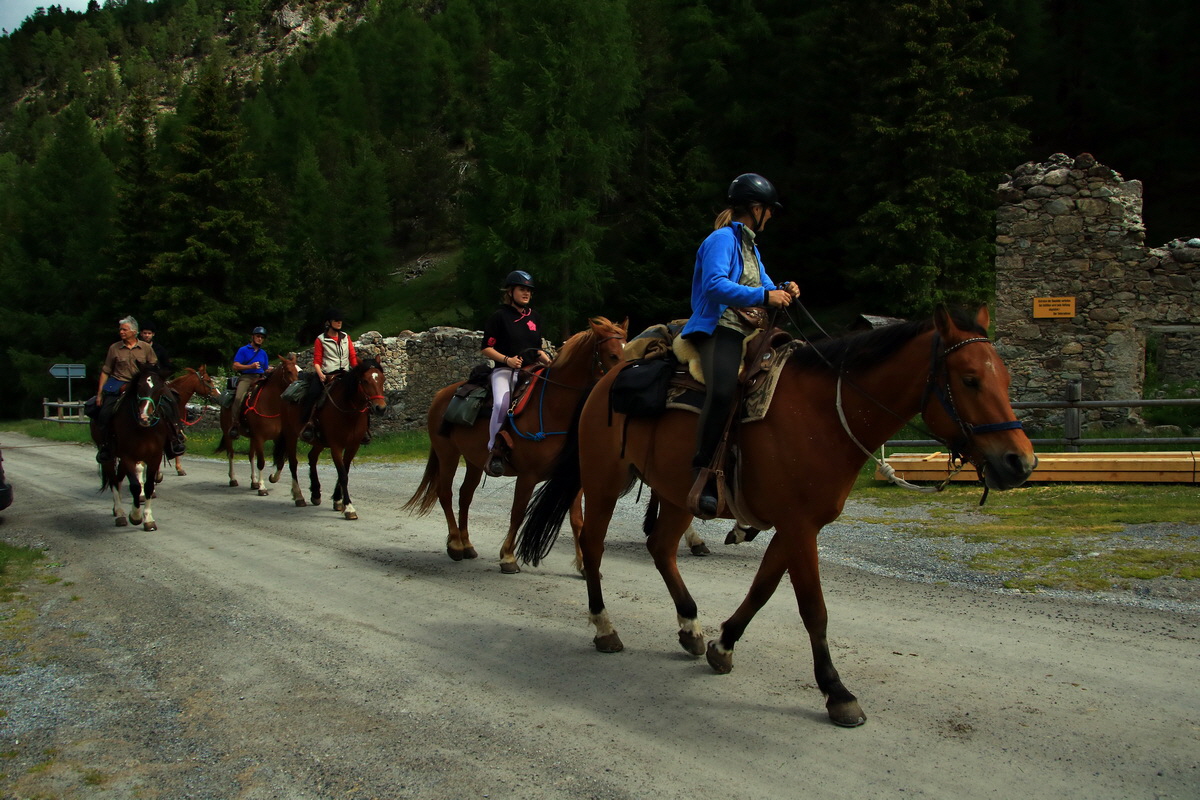 2015_06_13_002571p_Bildgr��e �ndern