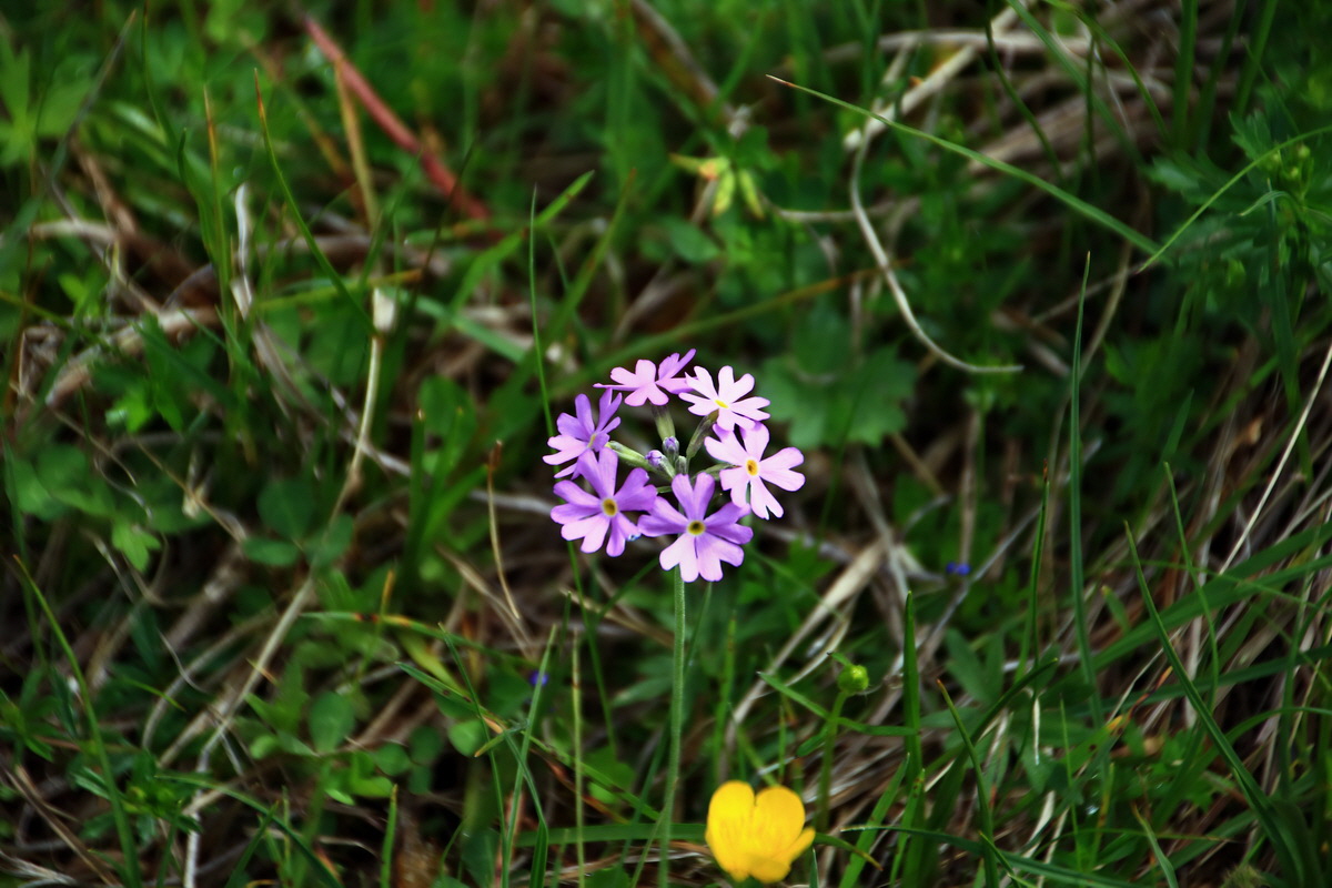 2015_06_13_002594p_Bildgr��e �ndern