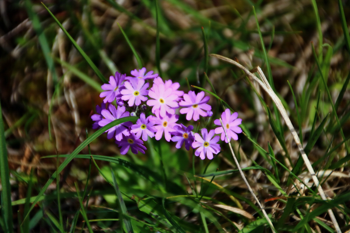 2015_06_13_002597p_Bildgr��e �ndern