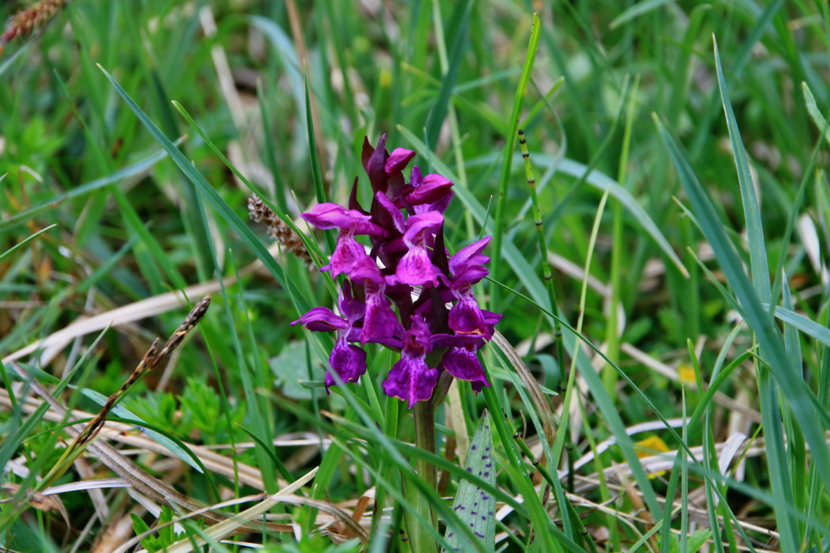 2015_06_13_002600p_Bildgr��e �ndern