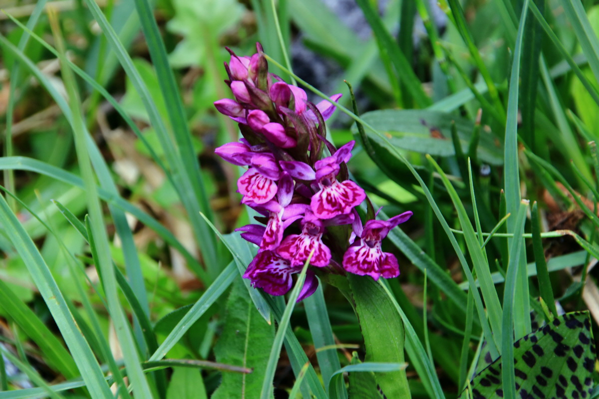 2015_06_13_002610p_Bildgr��e �ndern