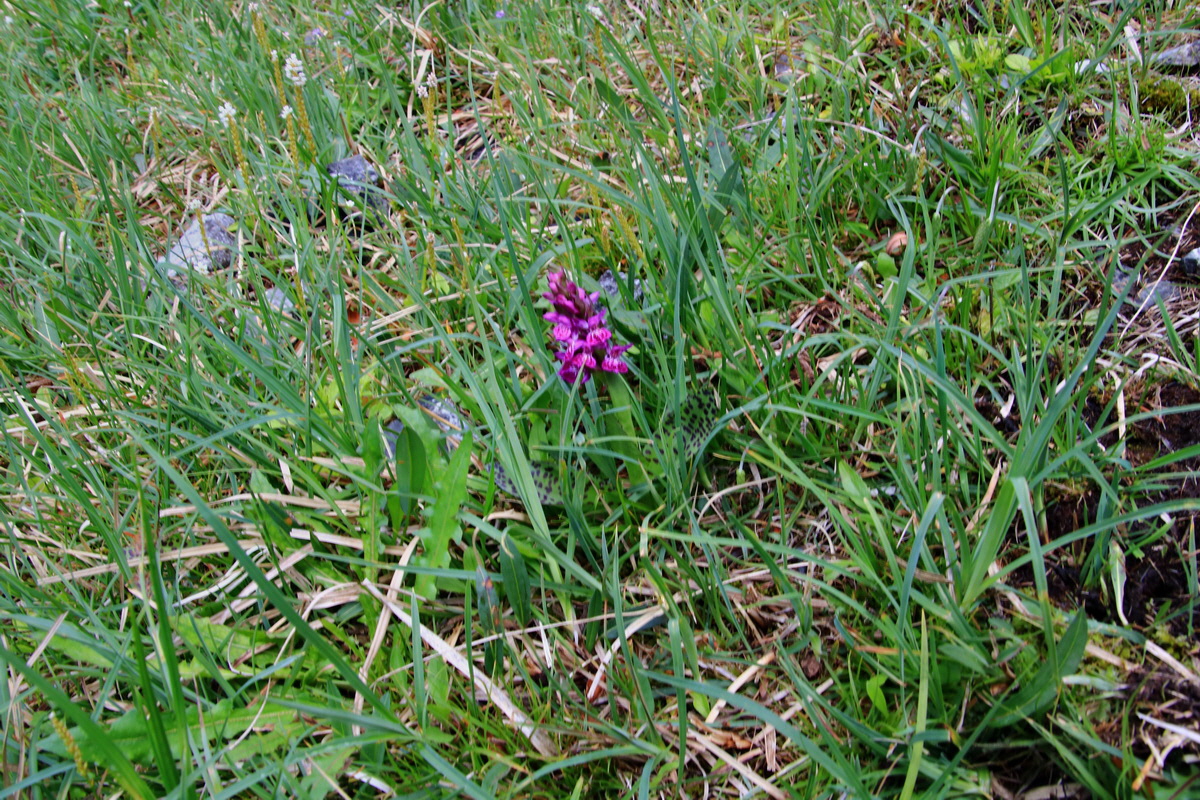 2015_06_13_002614p_Bildgr��e �ndern