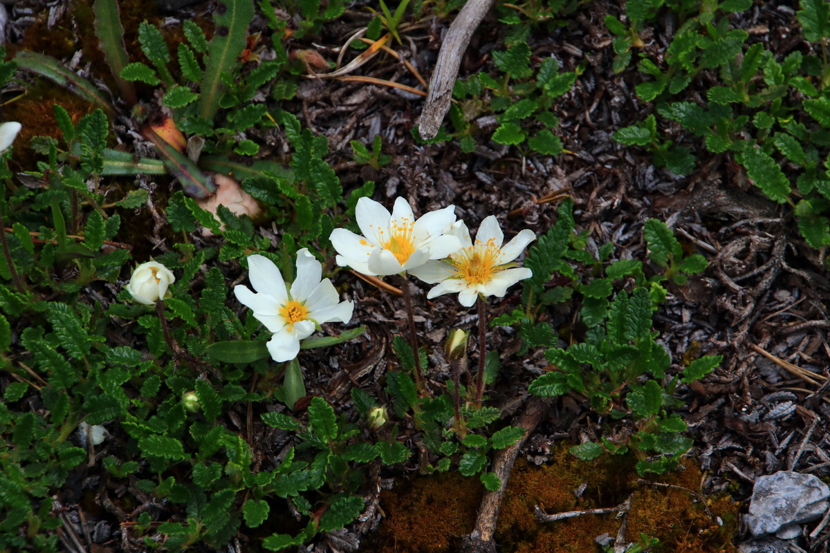 2015_06_13_002628p_Bildgr��e �ndern