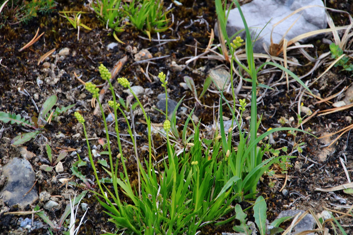 2015_06_13_002637p_Bildgr��e �ndern