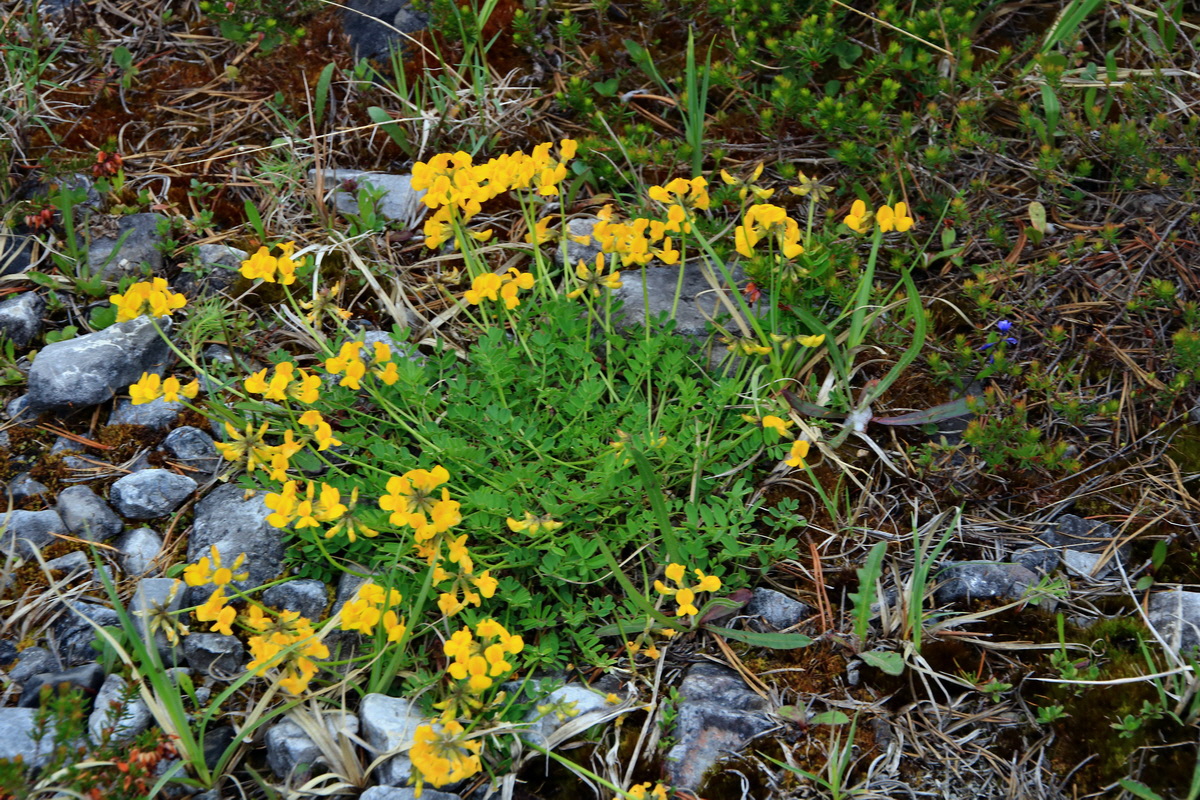 2015_06_13_002640p_Bildgr��e �ndern