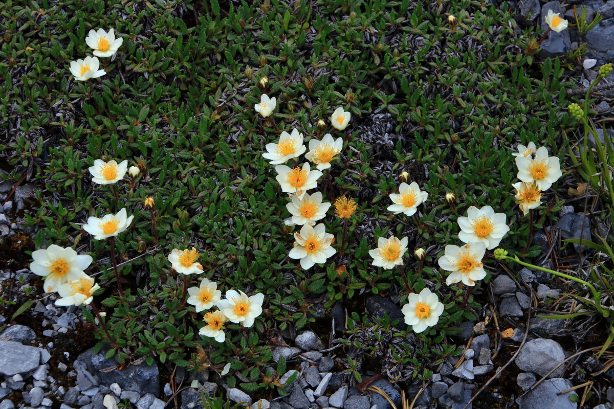 2015_06_13_002643p_Bildgr��e �ndern