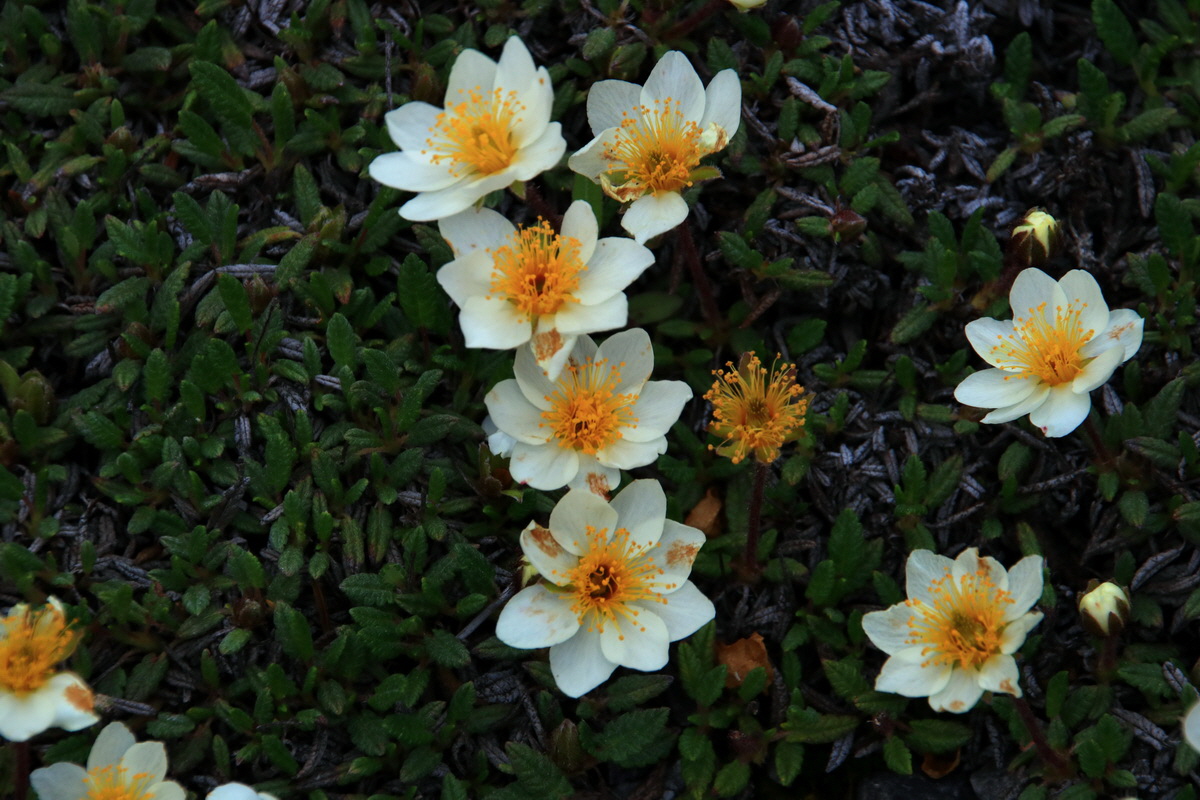 2015_06_13_002644p_Bildgr��e �ndern