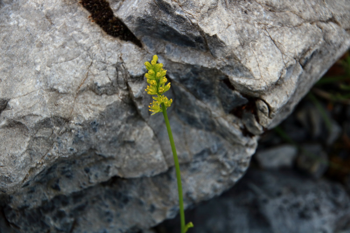 2015_06_13_002646p_Bildgr��e �ndern