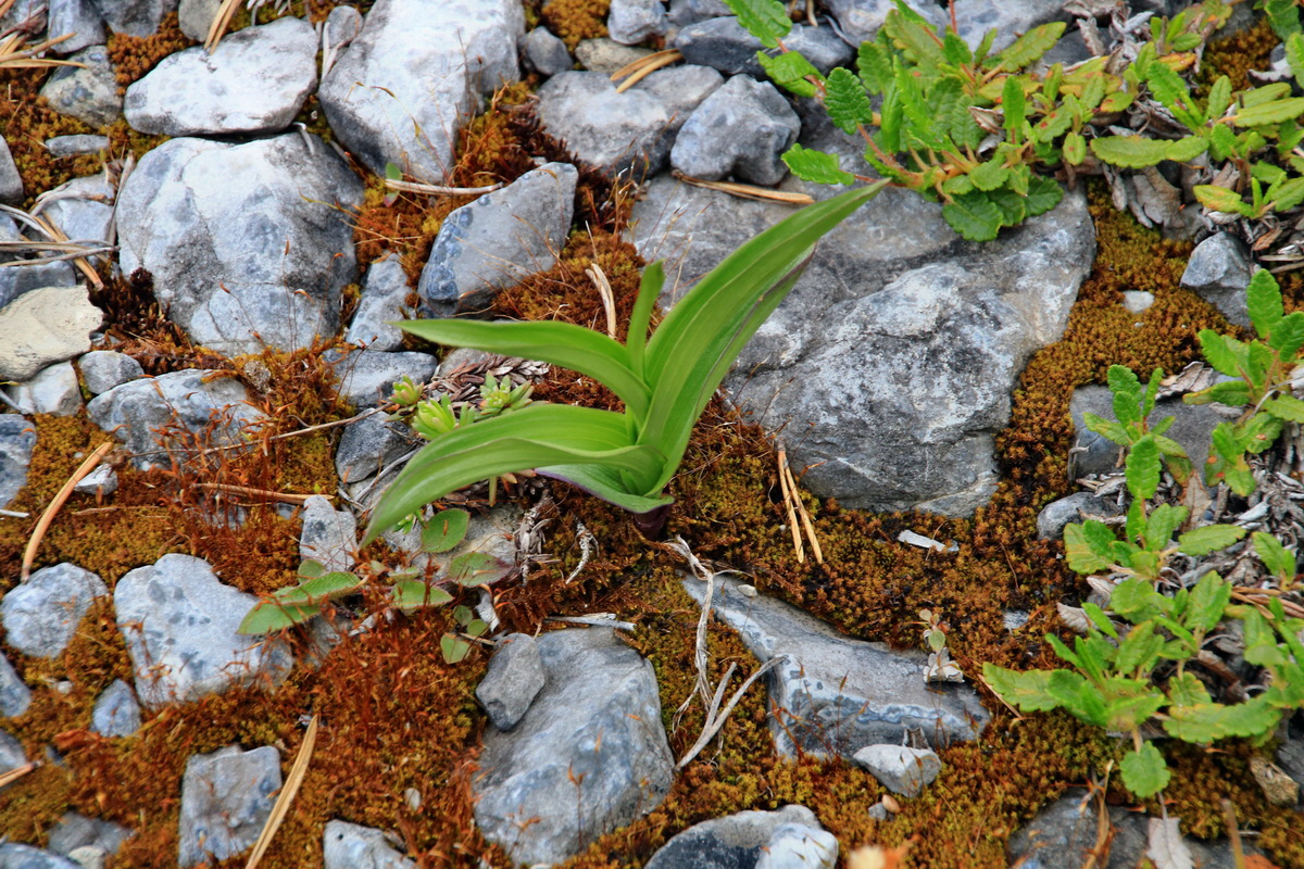 2015_06_13_002650p_Bildgr��e �ndern