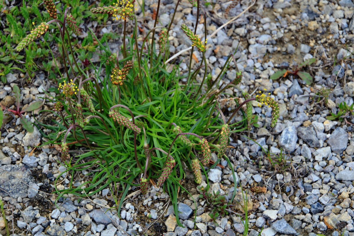 2015_06_13_002658p_Bildgr��e �ndern