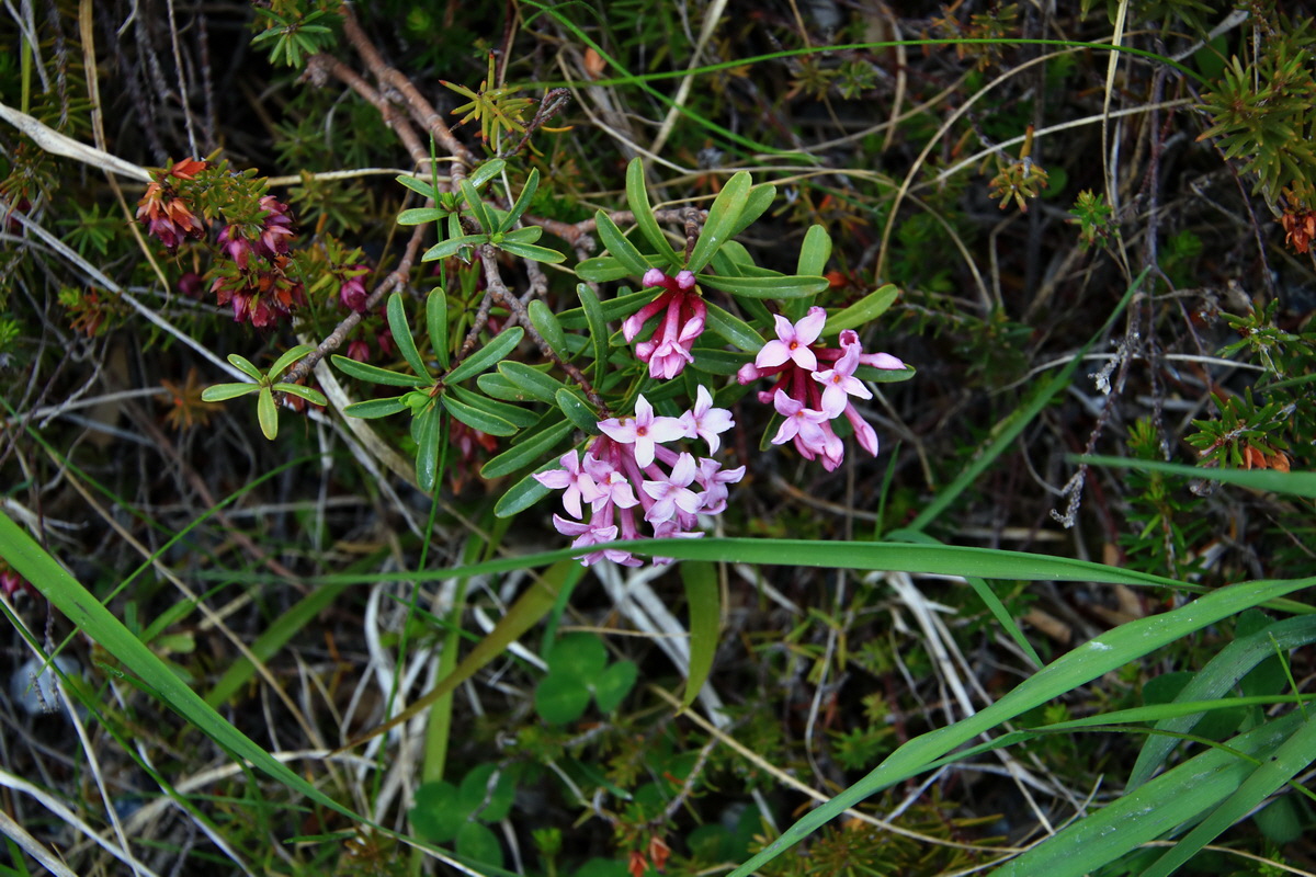 2015_06_13_002659p_Bildgr��e �ndern