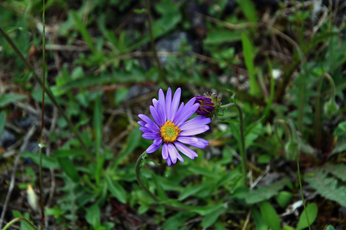 2015_06_13_002673p_Bildgr��e �ndern