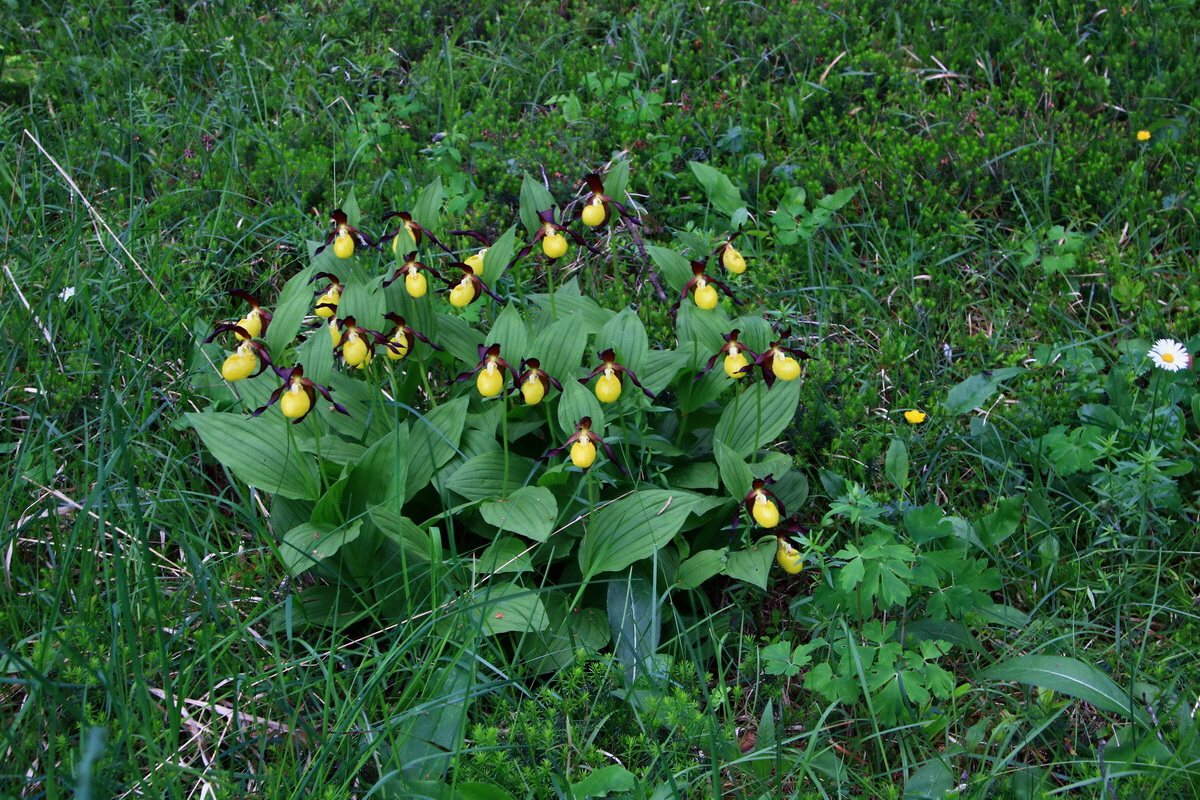 2015_06_13_002682p_Bildgr��e �ndern