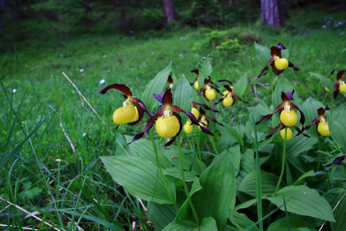 2015_06_13_002688p_Bildgr��e �ndern