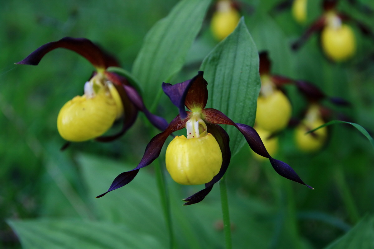 2015_06_13_002689p_Bildgr��e �ndern