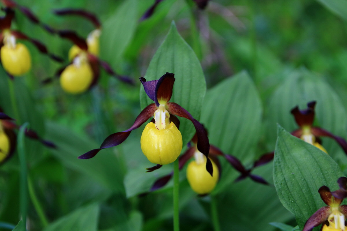 2015_06_13_002692p_Bildgr��e �ndern