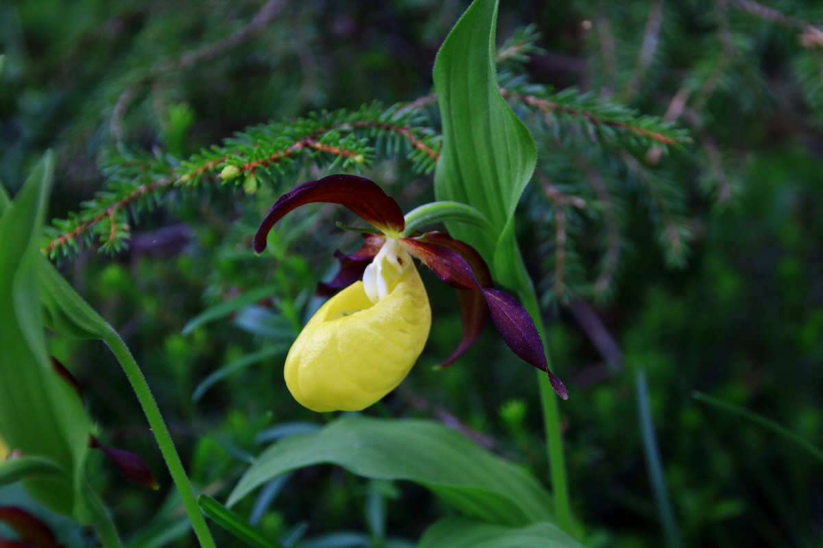 2015_06_13_002702p_Bildgr��e �ndern