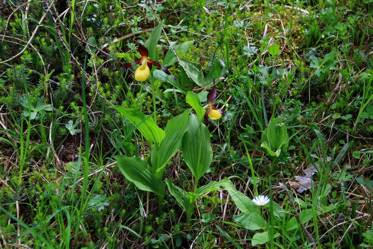 2015_06_13_002707p_Bildgr��e �ndern