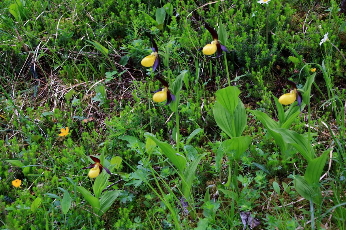 2015_06_13_002711p_Bildgr��e �ndern