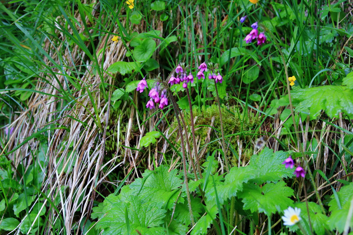 2015_06_14_002719p_Bildgr��e �ndern