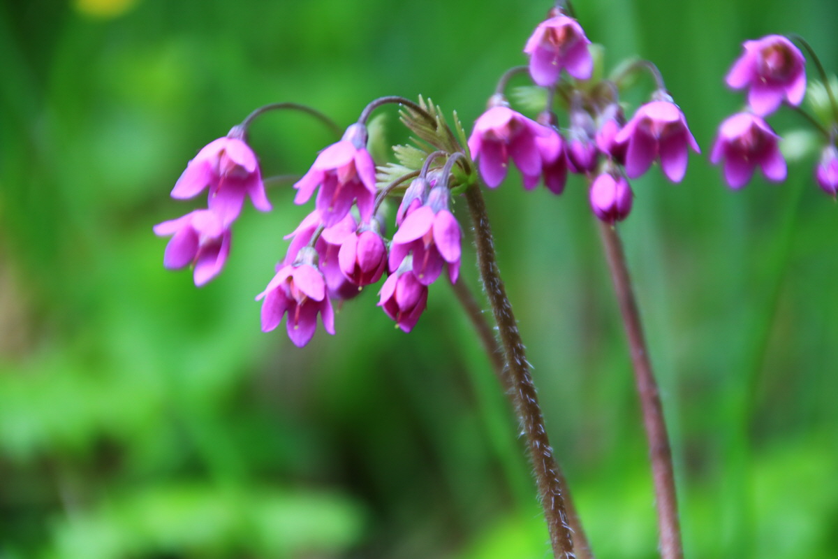 2015_06_14_002724_Bildgr��e �ndern